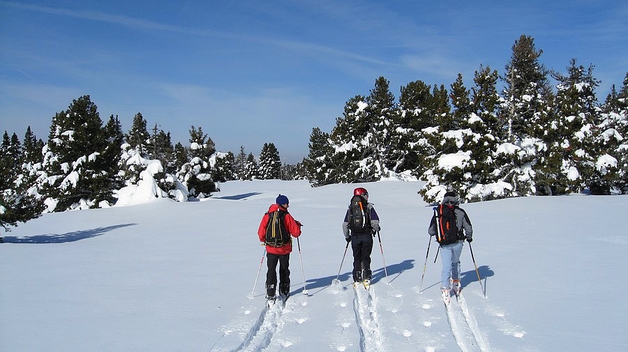 #13 Départ du parcour ski de fond : Bast, Anne-Cé et Tchouf au portillon Départ du parcour ski de fond : Bast, Anne-Cé et Tchouf au portillon