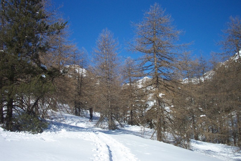 #1 Caramagne : On sort du vallon, mais le sommet est encore loin Caramagne : On sort du vallon, mais le sommet est encore loin