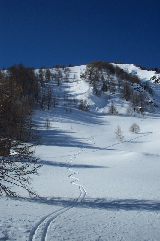 #7 Vers 2100 m : Quel pied de trouver de la poudreuse si bas ! Surtout qu Vers 2100 m : Quel pied de trouver de la poudreuse si bas ! Surtout qu'en face elle est croutée !