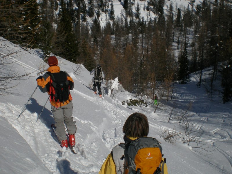 #3 vallon : vers le bas du vallon vallon : vers le bas du vallon