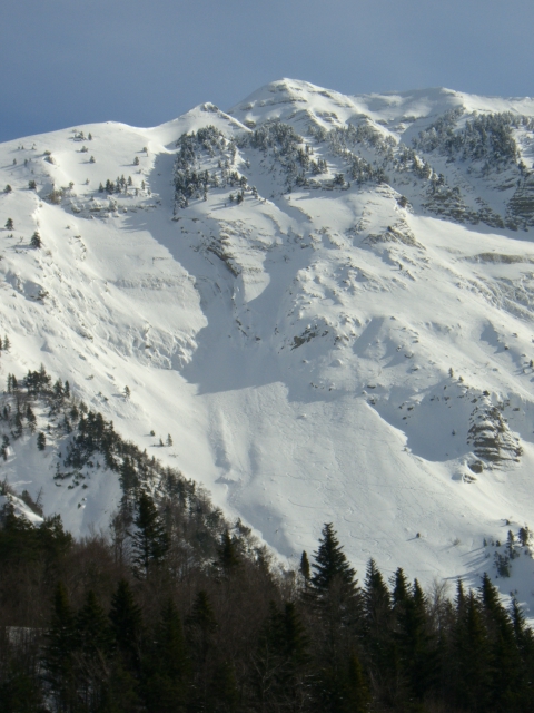 Toussière Face Nord Ouest : Itinéraire bien au centre de la face et sortie dans le deuxième couloir de pins.