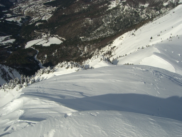 #1 Antécime de la Toussière : Vue sur la descente depuis le sommet.Accueillant!remarquer le couloir entre les arbres au centre. Antécime de la Toussière : Vue sur la descente depuis le sommet.Accueillant!remarquer le couloir entre les arbres au centre.
