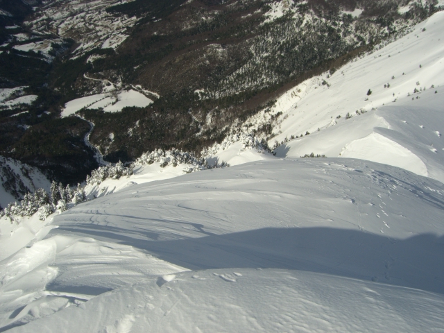 Antécime de la Toussière : Vue sur la descente depuis le sommet.Accueillant!remarquer le couloir entre les arbres au centre.