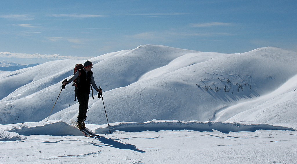 #3 Baisse de Paluet Baisse de Paluet