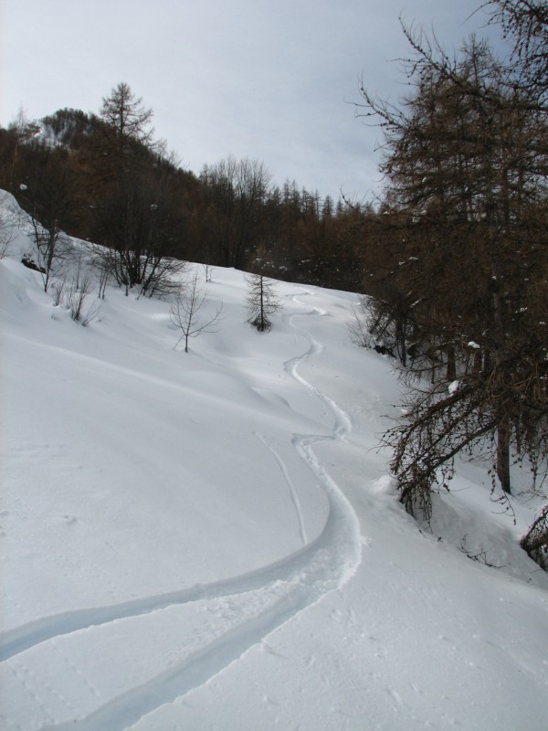 #5 Près du chalet de Riton : rare endroit de bonne neige ! Près du chalet de Riton : rare endroit de bonne neige !