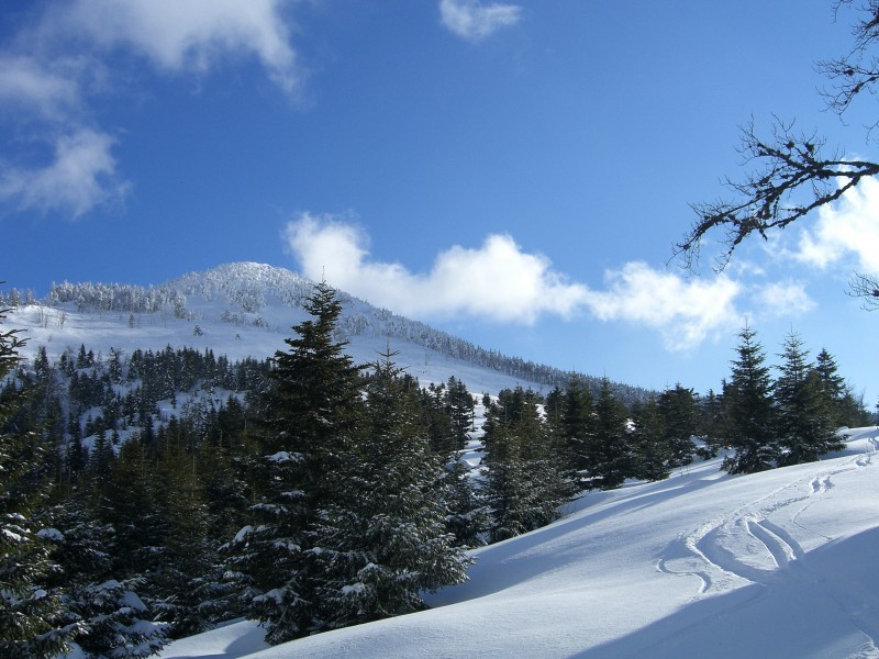 Taupernas facette nord : Beau ski, à découvert ou dans la forêt.