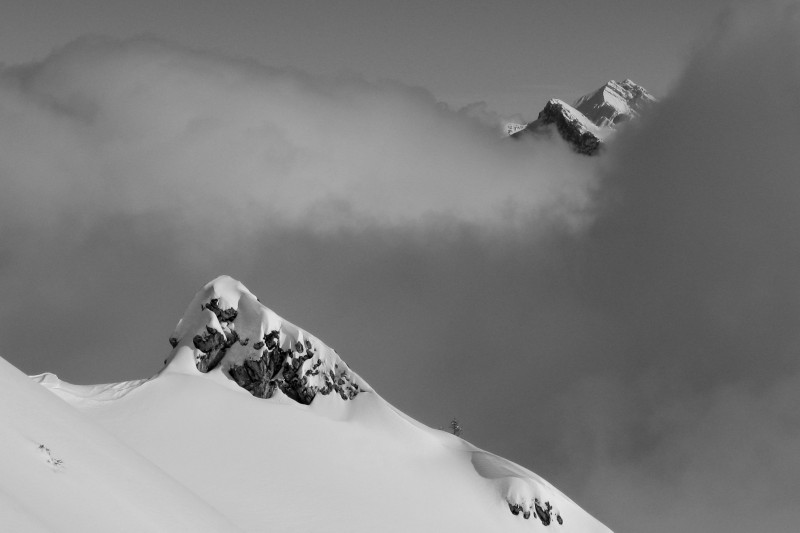 #10 Talamarche : noir et blanc Talamarche : noir et blanc