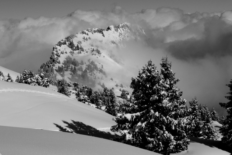 #8 Talamarche : Dent du Cruet Talamarche : Dent du Cruet