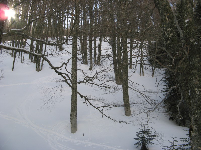 #3 Marmanu : Dans la forêt Marmanu : Dans la forêt