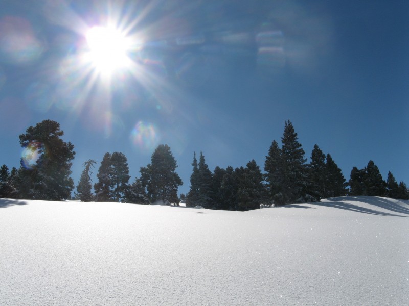 #5 Vallon : neige vierge! Vallon : neige vierge!