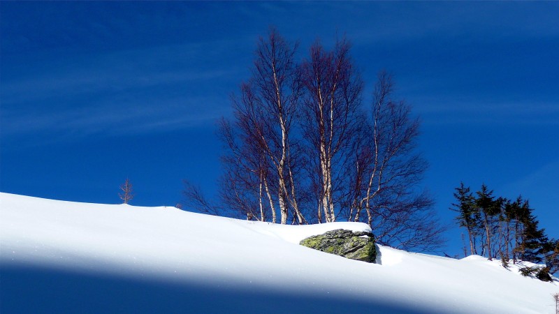 #3 Sous le Col de la Perrière Sous le Col de la Perrière