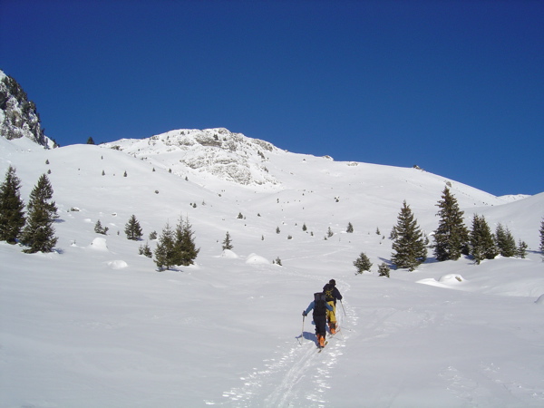 #1 Monté Combe Grande Montagne : A la sortie de la forêt avant d Monté Combe Grande Montagne : A la sortie de la forêt avant d'attaquer la Combe de la Grande Montagne.