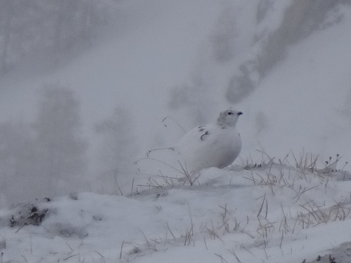 Aiguille Percée depuis Tignes
