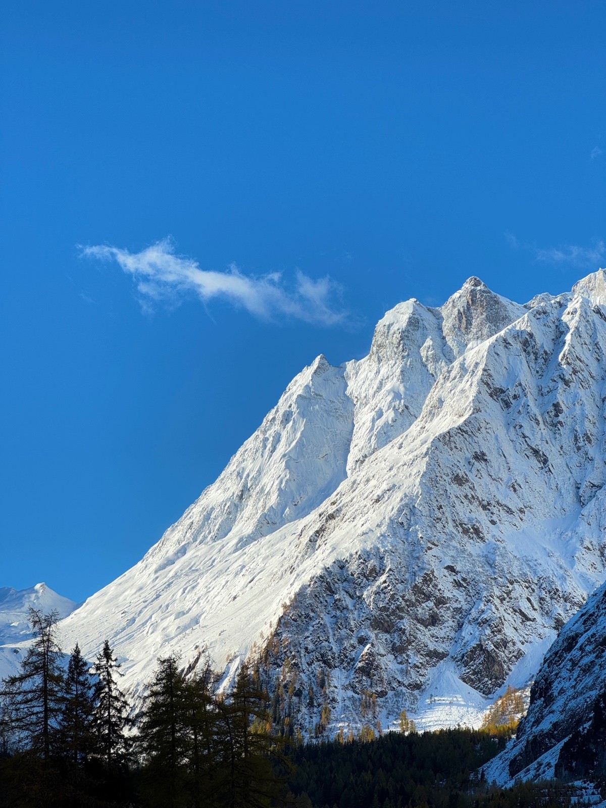 #1 L L'Amône en majesté