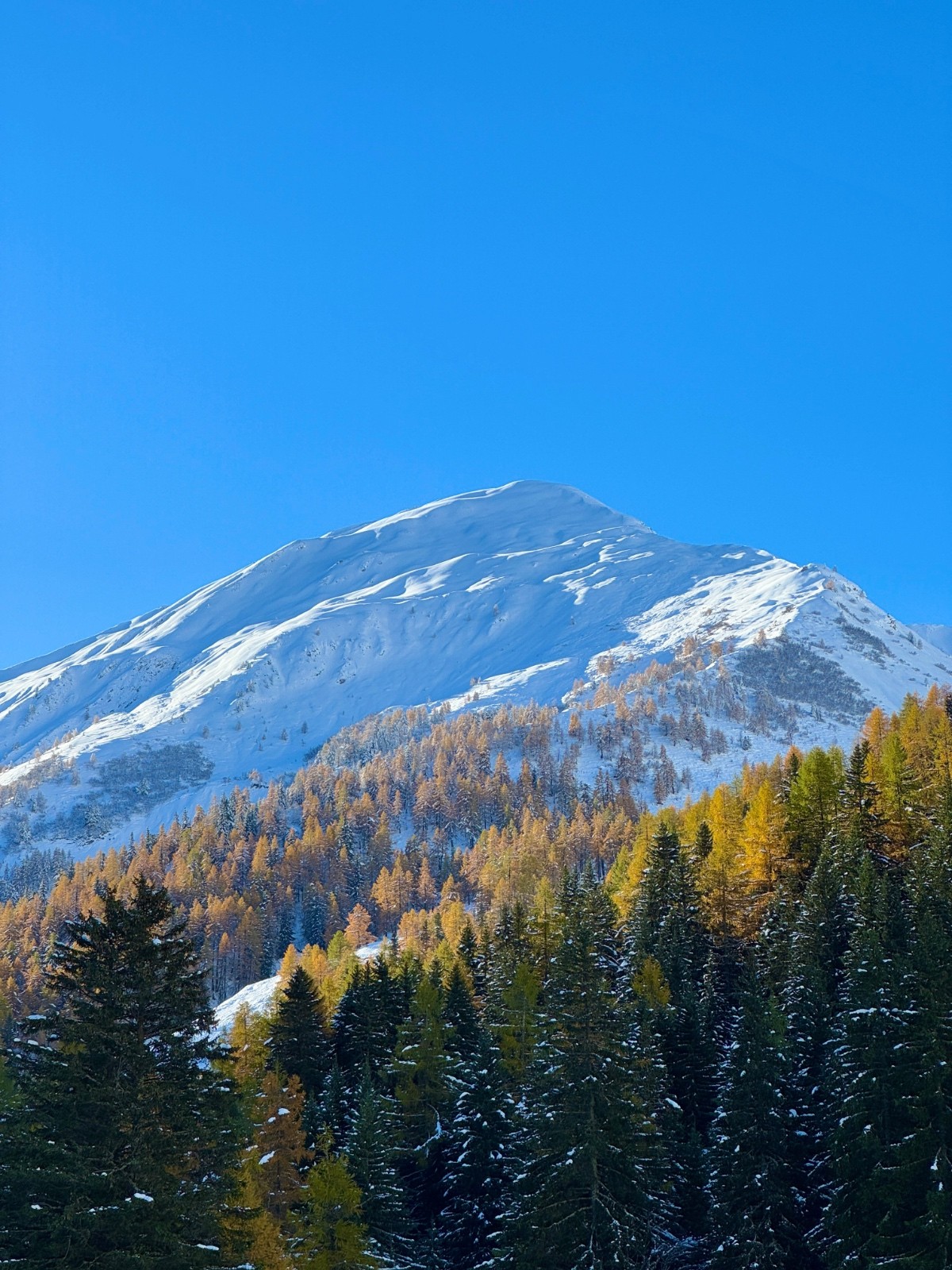 #2 La Dotse La Dotse