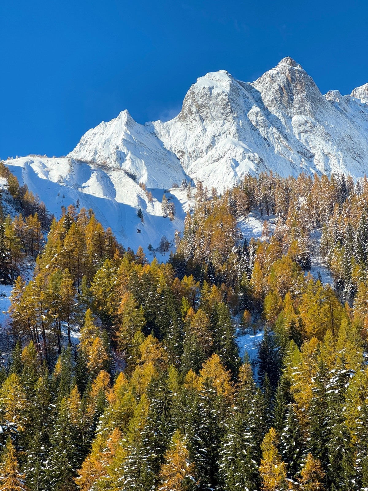 #3 Automne ... Automne ...