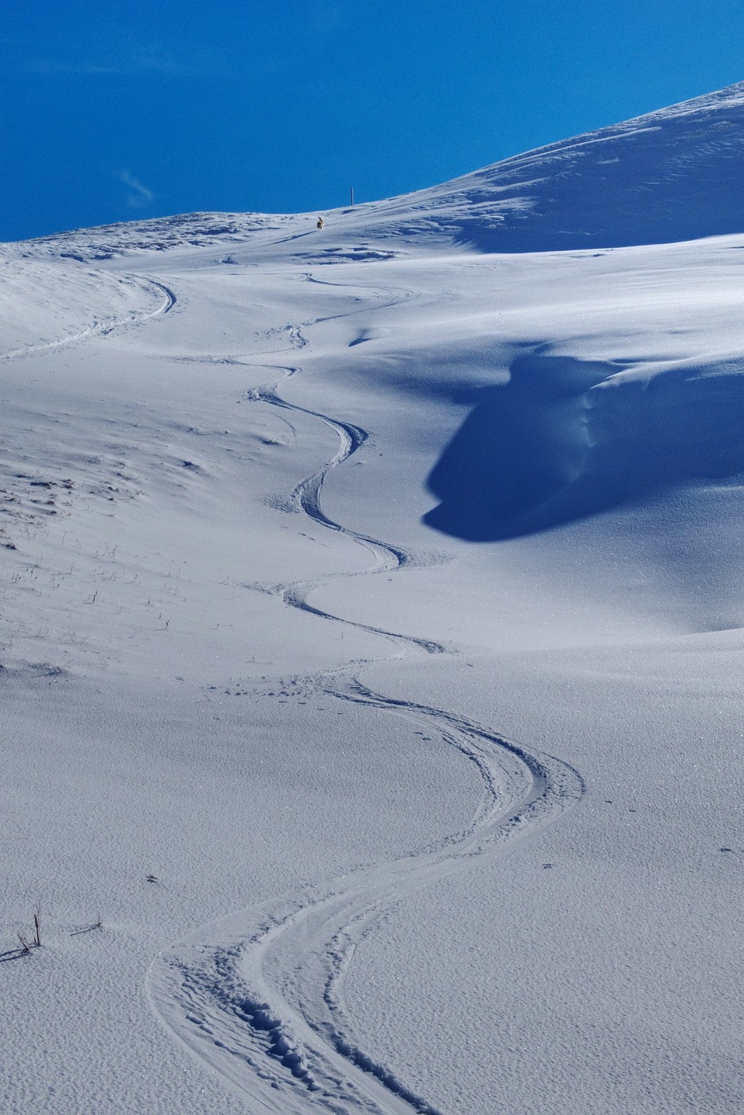 #11 Plaisant ! Plaisant !