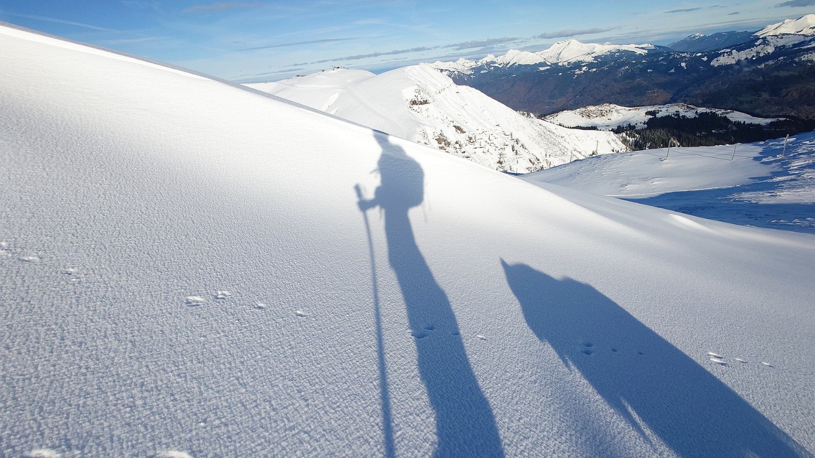 #5 Les deux font la paire Les deux font la paire