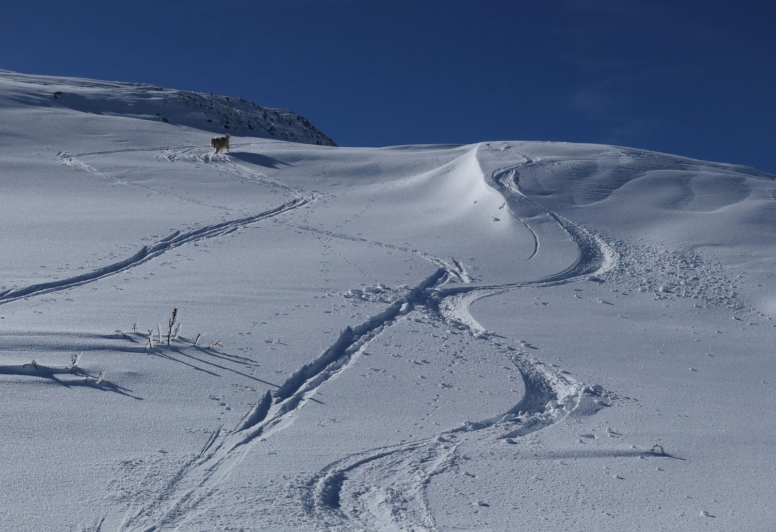 #10 en cherchant bien ... piste Grenat en cherchant bien ... piste Grenat