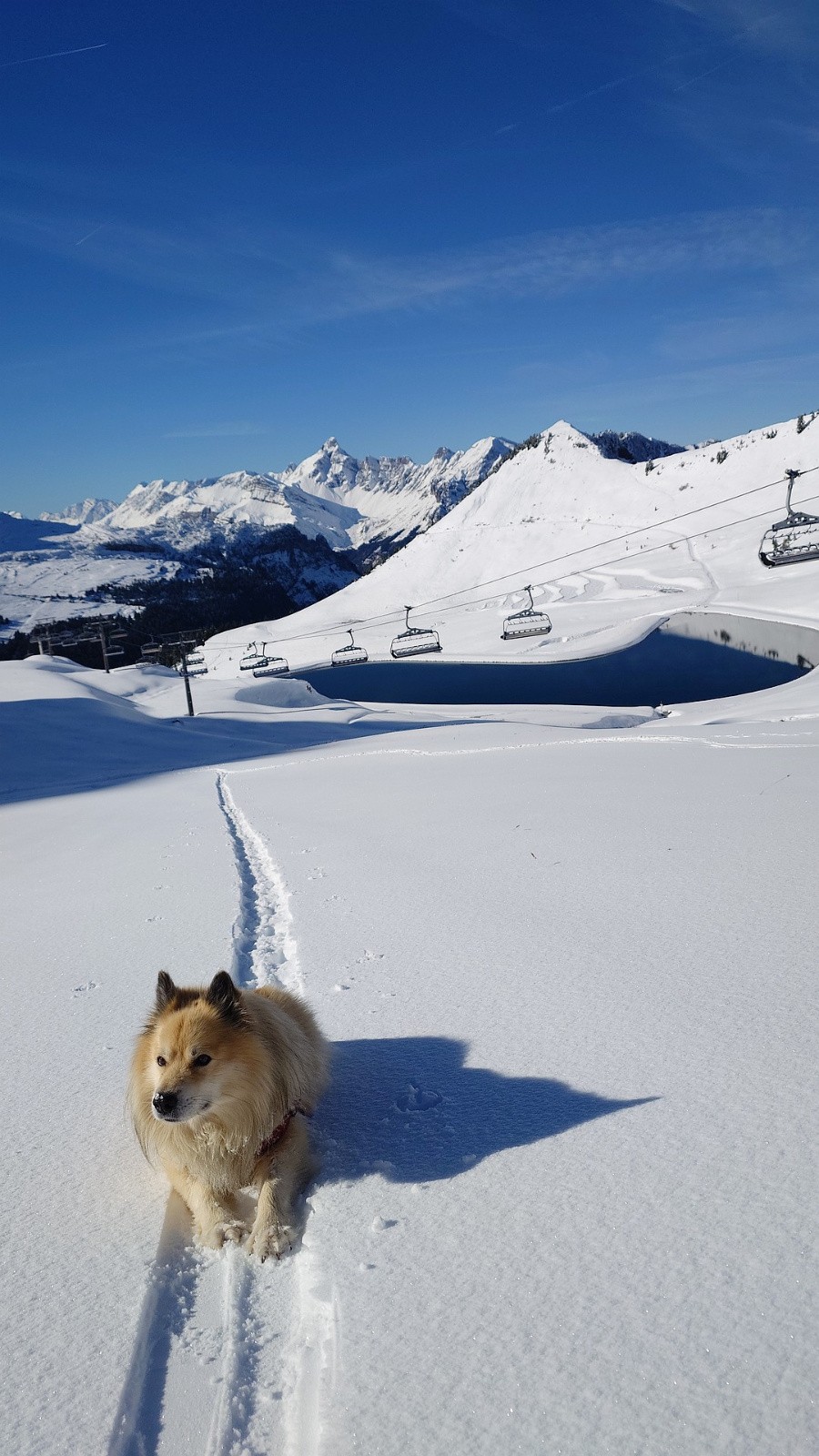 #7 Tourmaline, montée #2 Tourmaline, montée #2