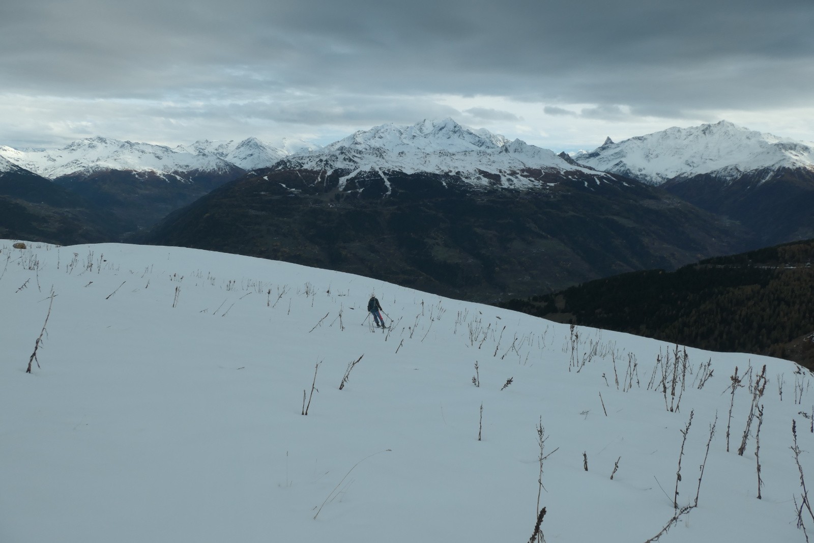 #31 Entre les herbes Entre les herbes
