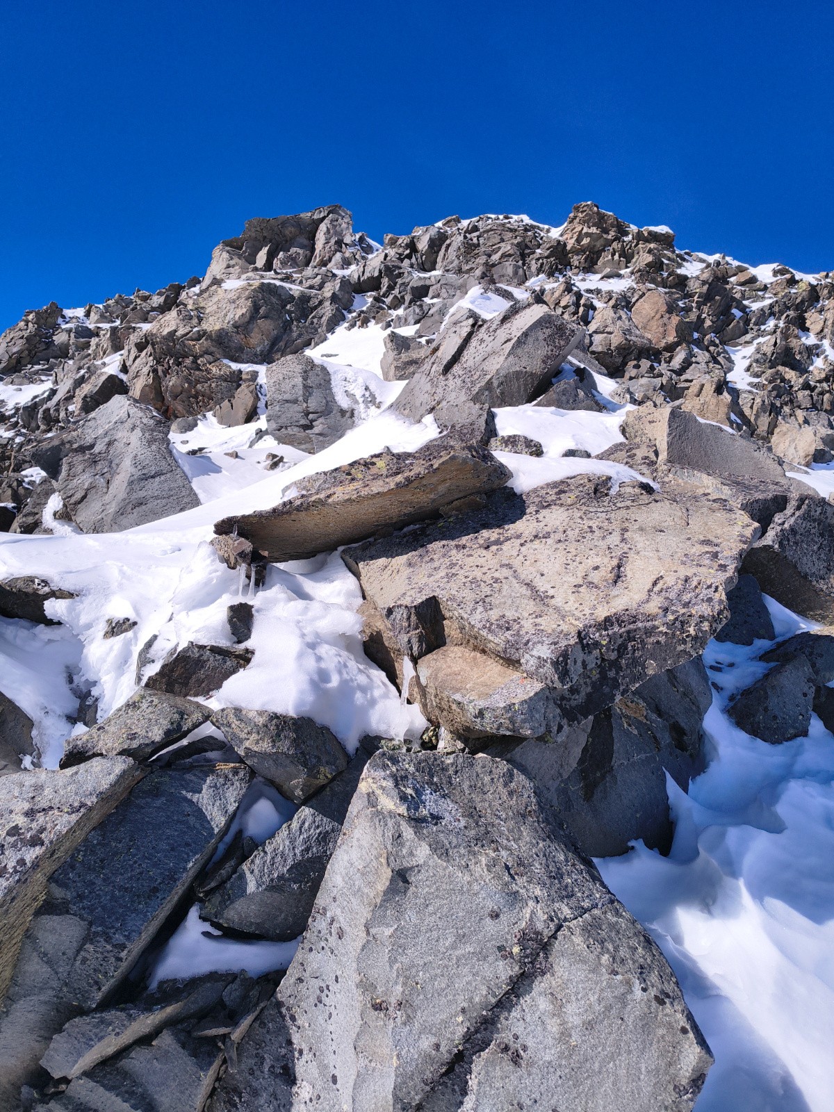 #6 Dans la partie terminale Dans la partie terminale