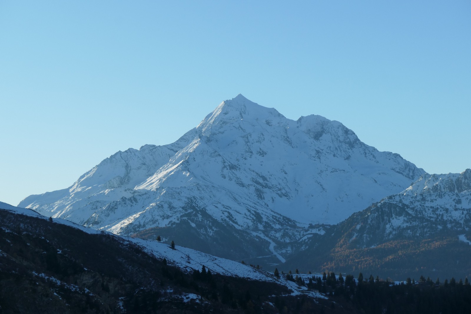 #1 Le Pourri veille Le Pourri veille