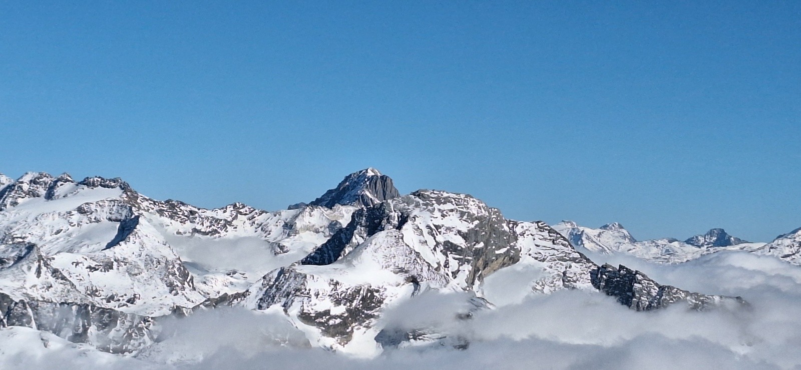 #12 Fournache Fournache