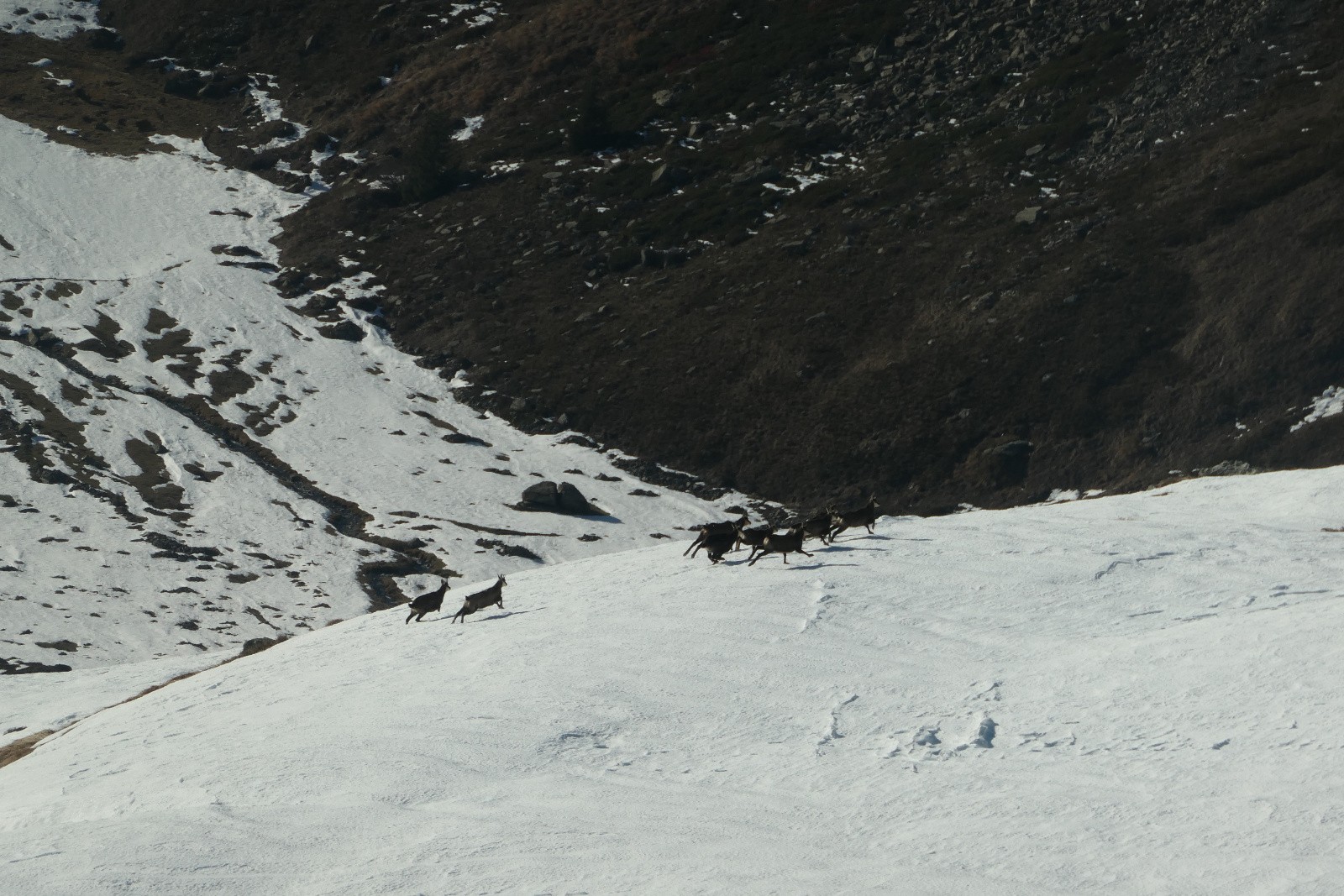 #28 Mauvaise troupe Mauvaise troupe