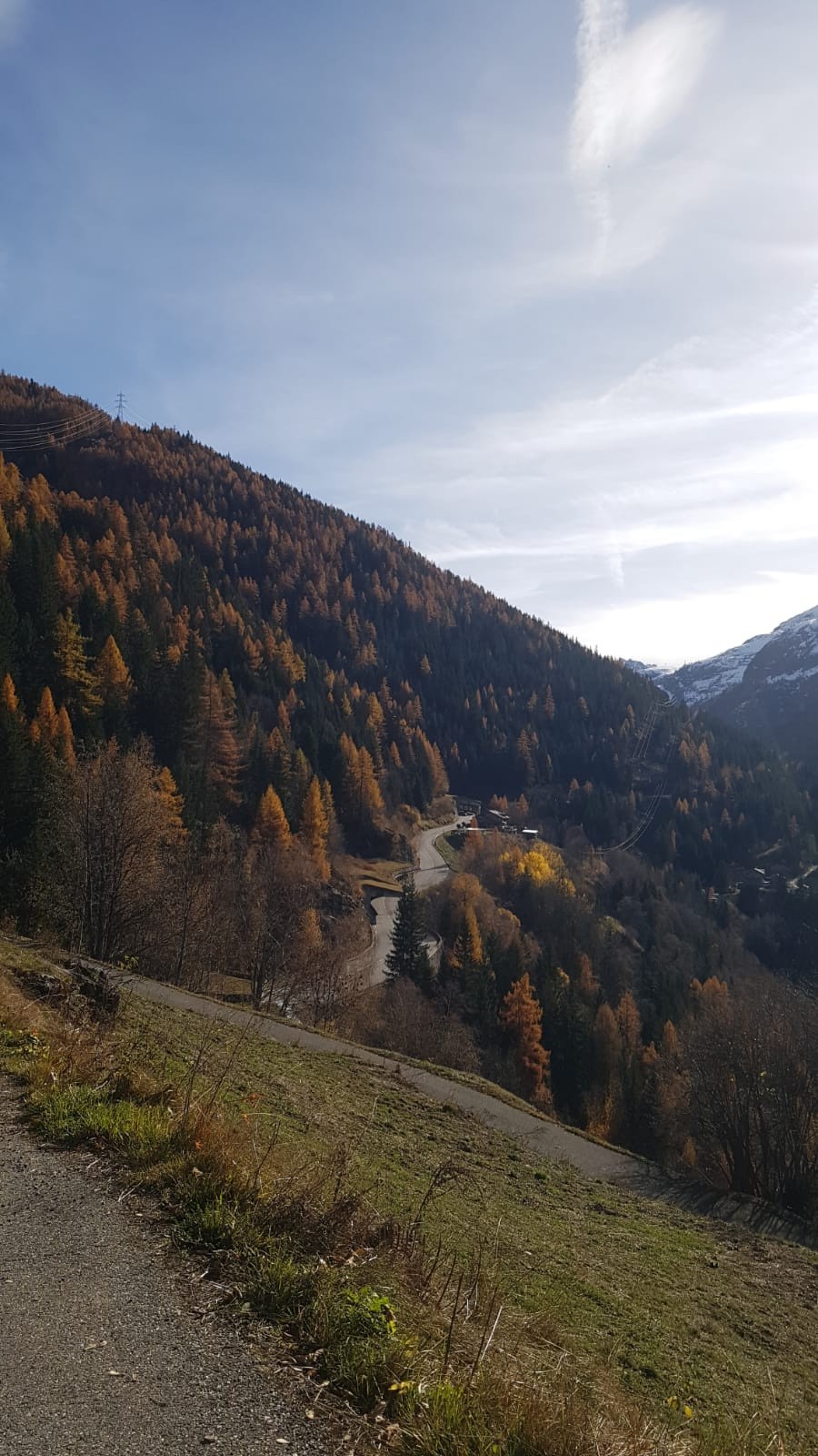 #6 Baroud d Baroud d'honneur pour les mélèzes!