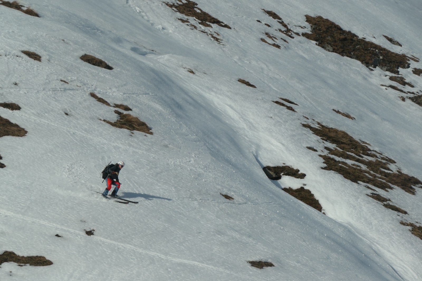 #31 Moquette Moquette