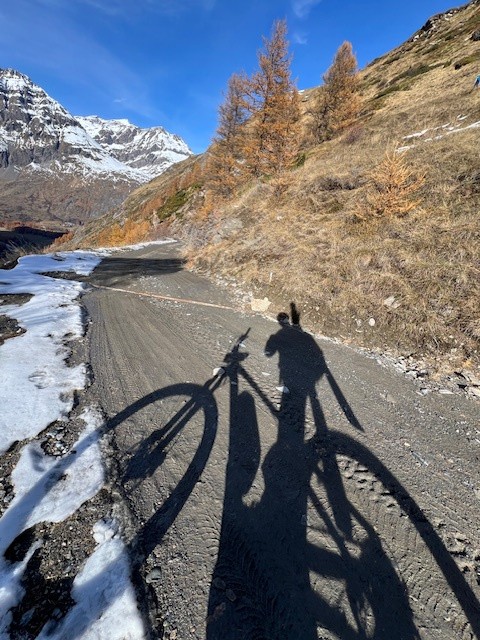 #5 couleur d couleur d'automne