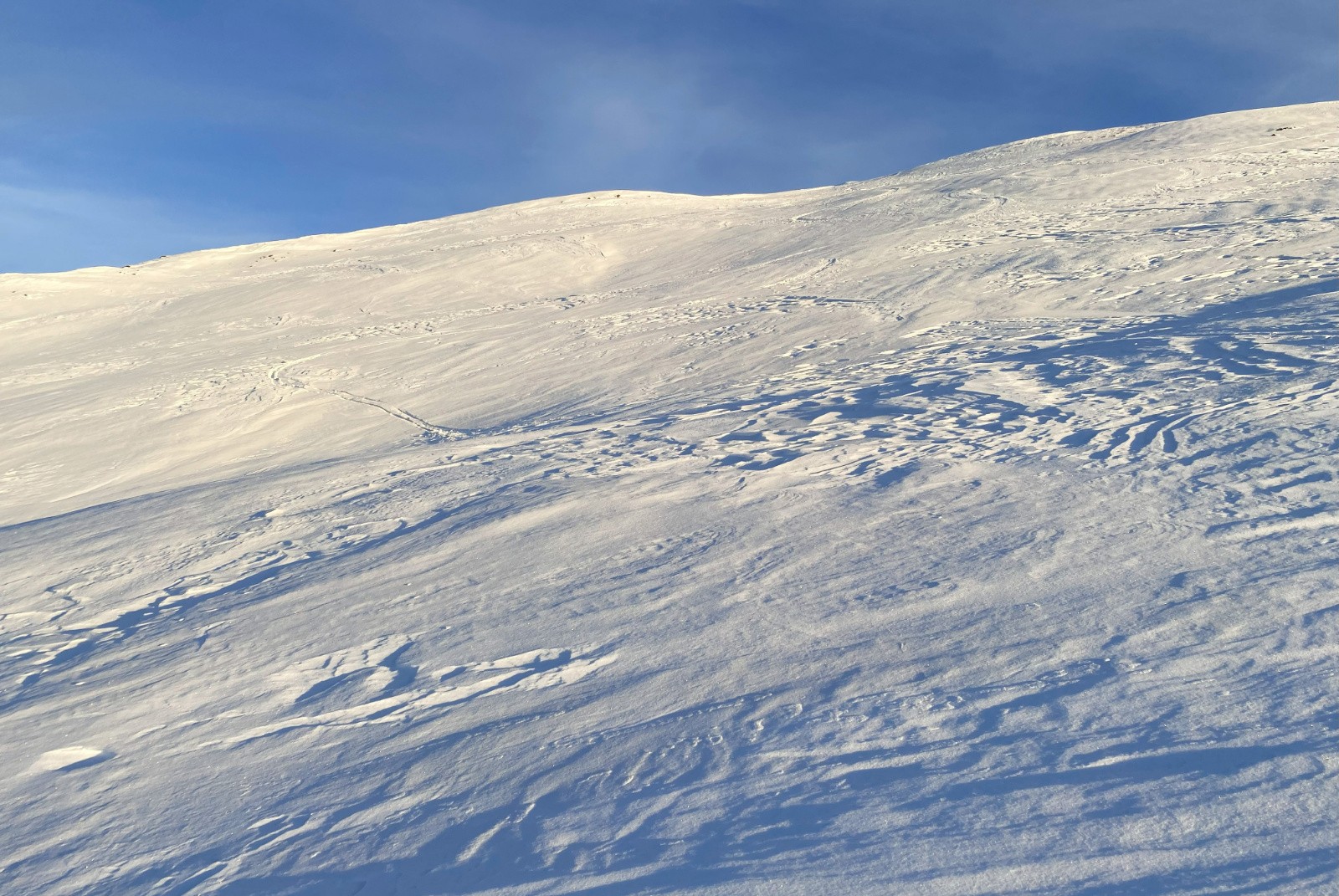 #23 Dôme des aiguillettes en neige sympa (sorte de carton mou) Dôme des aiguillettes en neige sympa (sorte de carton mou)
