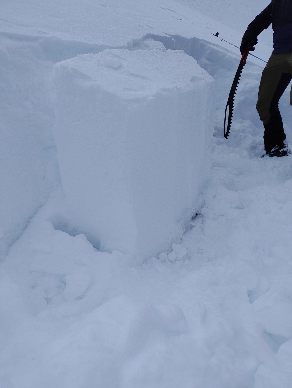 #8 Bloc découpé pour un ECT 90 cm x 30 cm Bloc découpé pour un ECT 90 cm x 30 cm