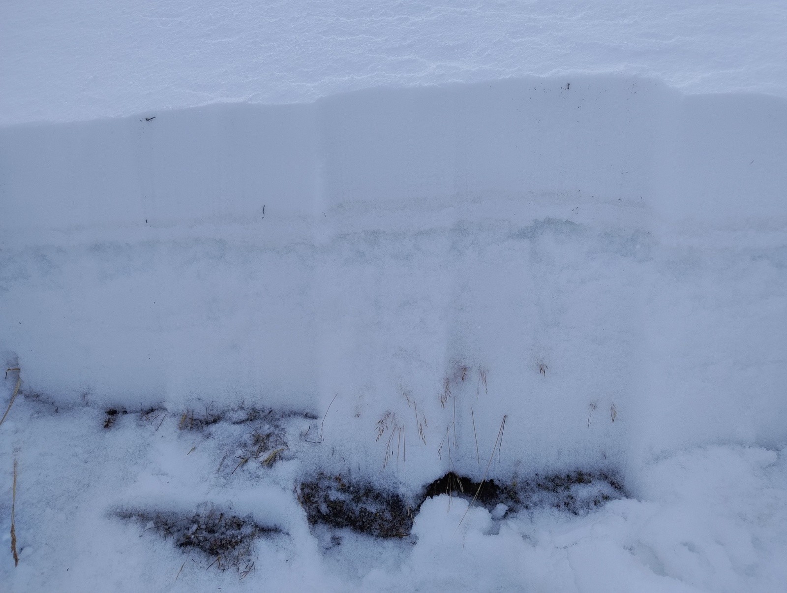 #8 Neige fraîche sur couche fragile de faces planes / gobelets Neige fraîche sur couche fragile de faces planes / gobelets