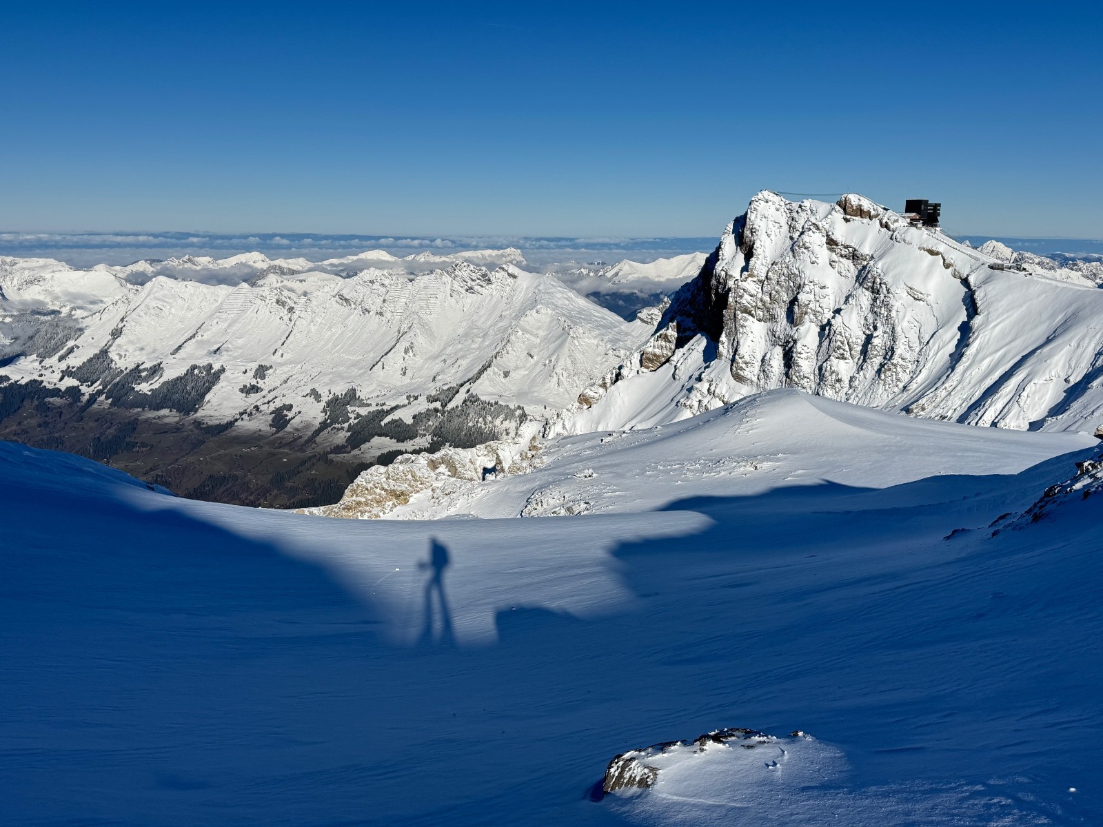 #3 C C'est bien blanc en bas mais juste pour la déco