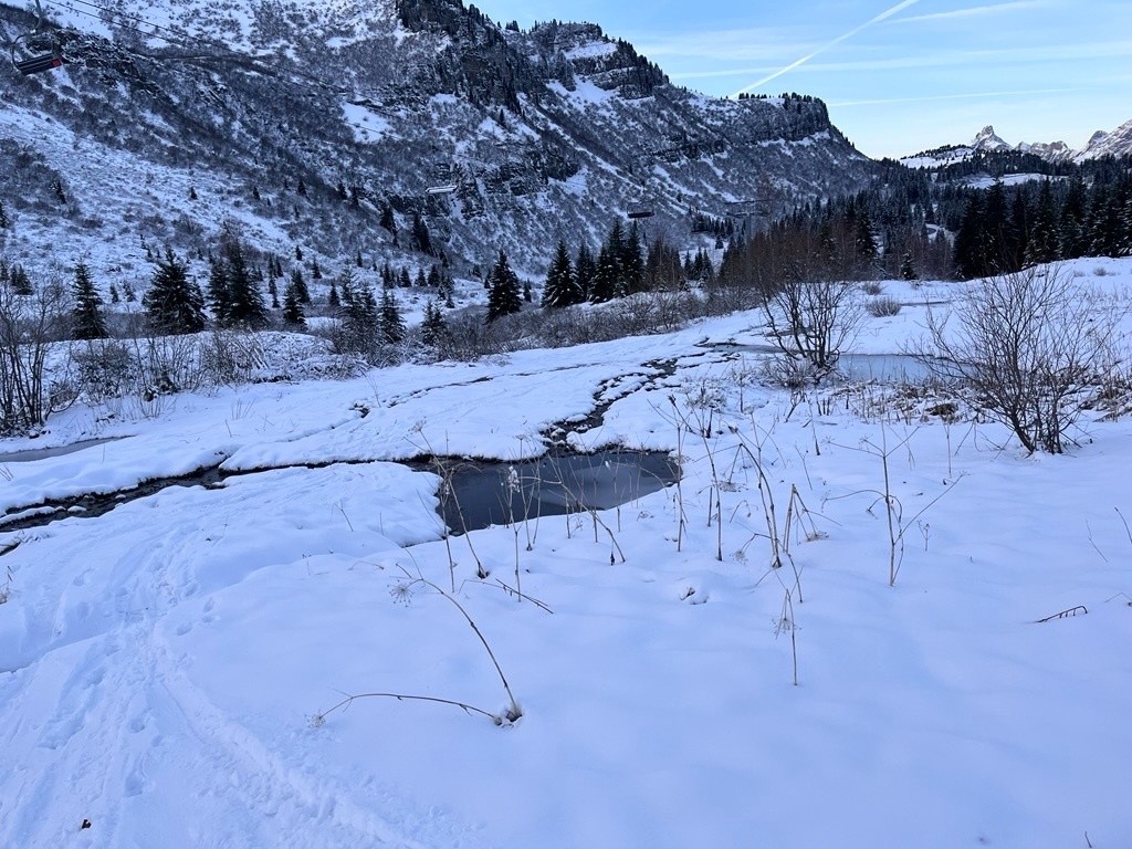 #7 en bas plus sec en bas plus sec