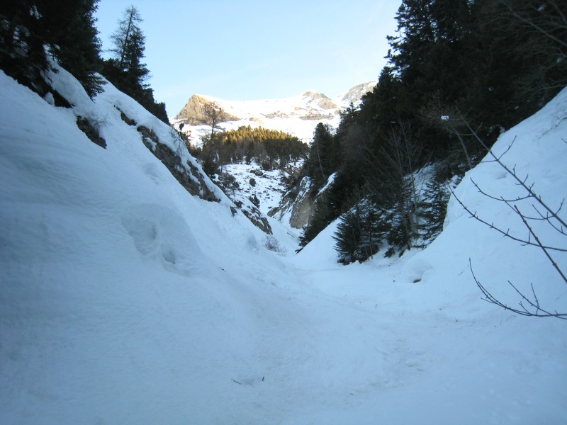 #3 Clot du Rocher 22 02 09 : Dans le vallon de Clot du Rocher Clot du Rocher 22 02 09 : Dans le vallon de Clot du Rocher