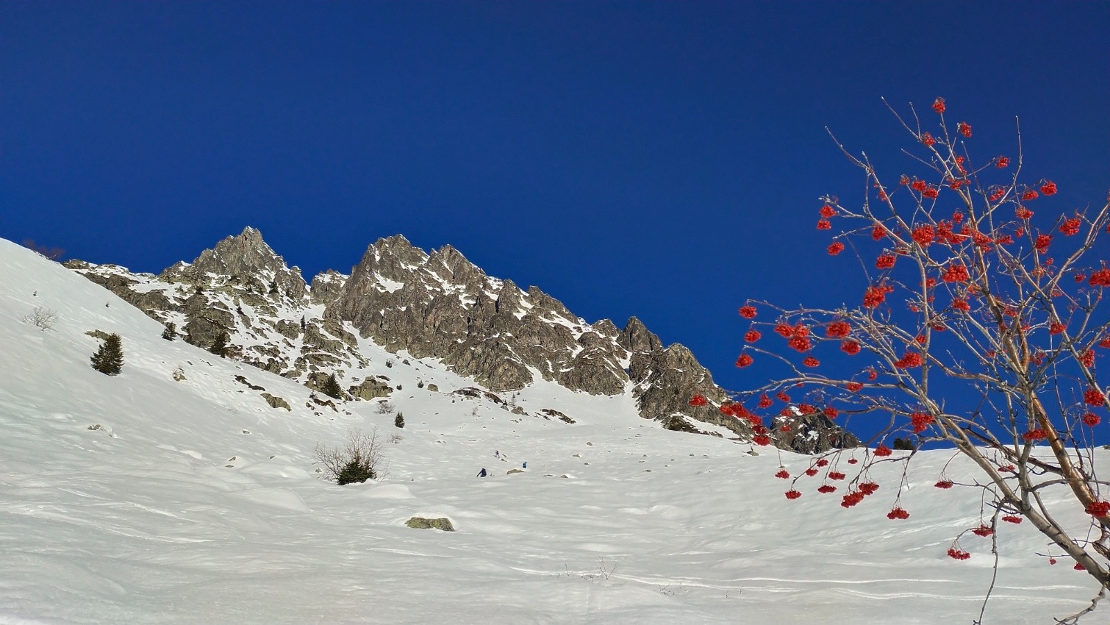 Tricotage au Rissiou