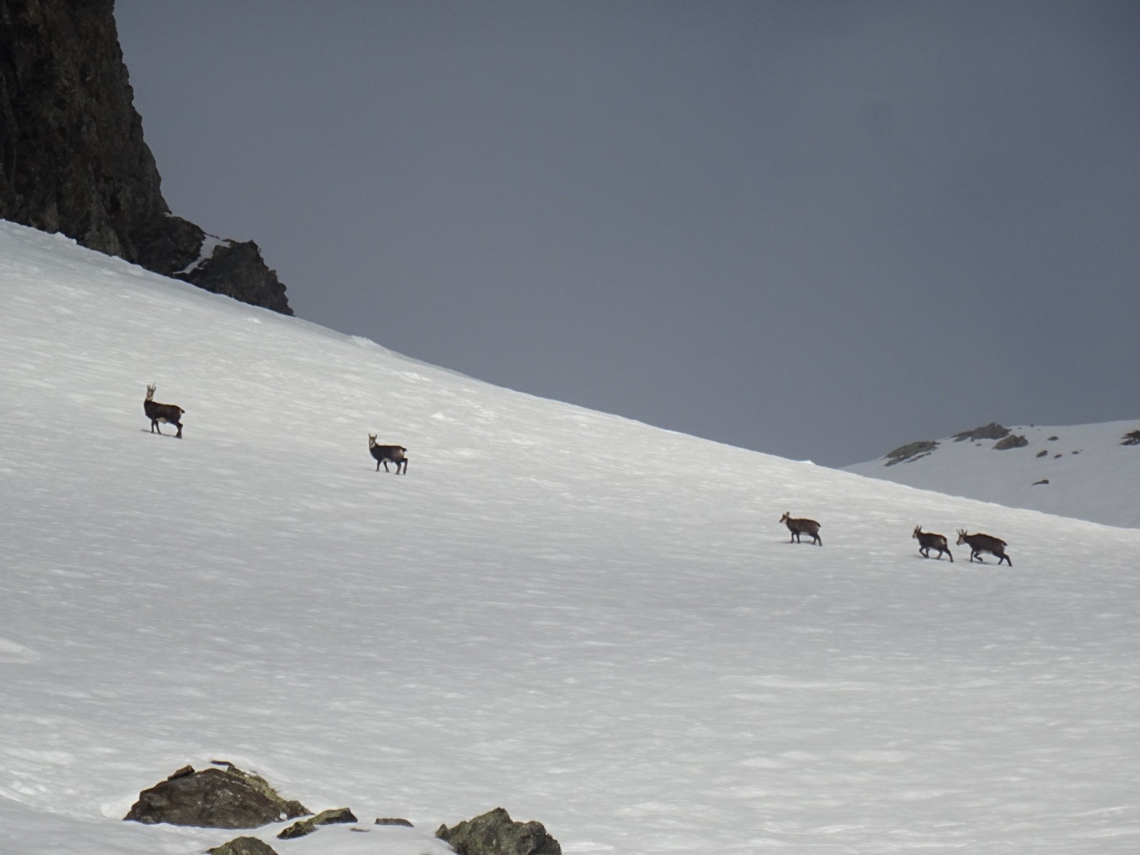 Tricotage autour de la Croix du Sergent Pinelli, Pas de la Mine & Emay