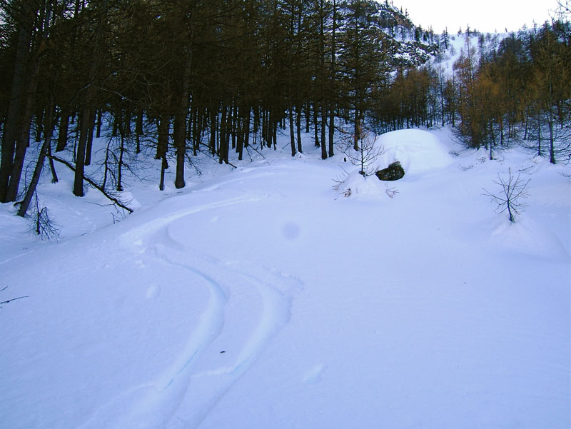 #11 Fort Carra : Et une superbe poudre dans la petite forêt. Fort Carra : Et une superbe poudre dans la petite forêt.