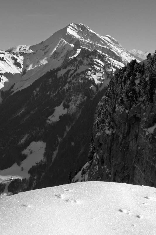 #10 Suet : Face ouest du jalouvre Suet : Face ouest du jalouvre