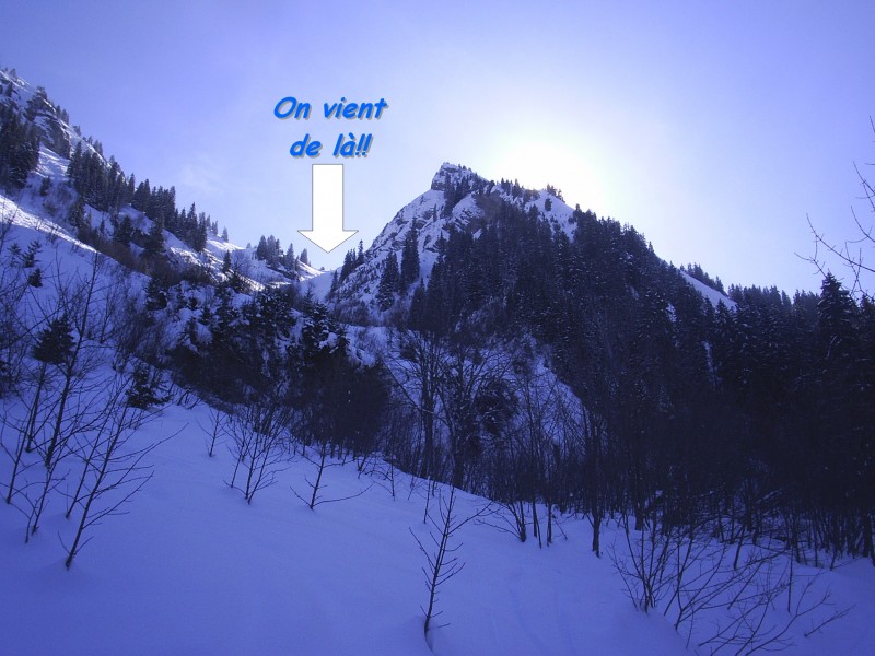 #8 Vue du couloir : Le couloir vu du bas Vue du couloir : Le couloir vu du bas