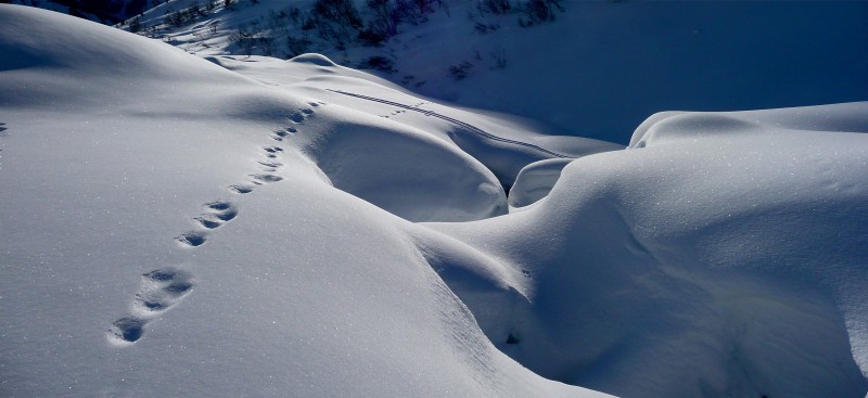 #7 Combe du Tépey : Une neige de cinéma Combe du Tépey : Une neige de cinéma