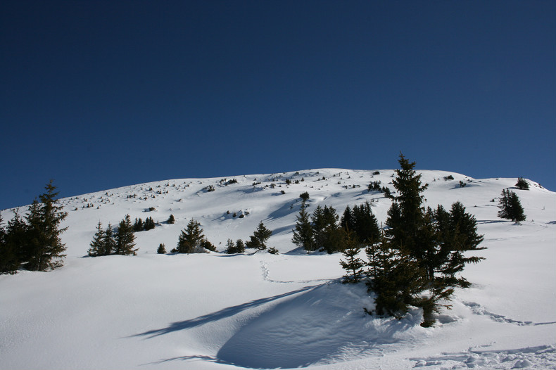 #3 Tête des Muets : Vue sur "la Tête des Muets" Tête des Muets : Vue sur "la Tête des Muets"