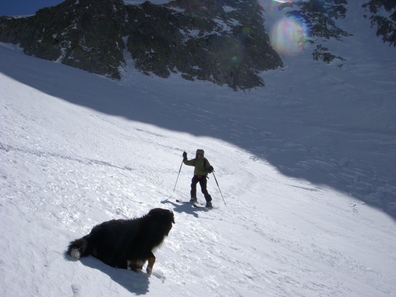 #4 col Vache : Le Bouvier gère ce qu col Vache : Le Bouvier gère ce qu'il trouve....