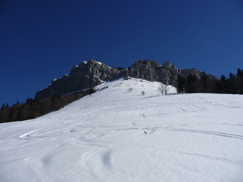 #3 Sommet et prairie du Col : Aperçu de l Sommet et prairie du Col : Aperçu de l'entrée du couloir.