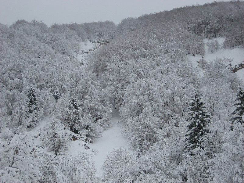 #1 Le Reculet : Le couloir des Lavanches vu d Le Reculet : Le couloir des Lavanches vu d'en bas