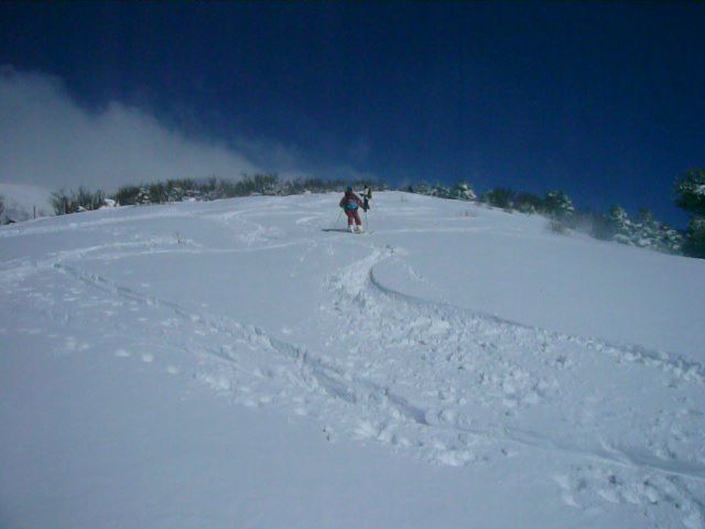 #2 La Peyrouse : Descente de la croupe La Peyrouse : Descente de la croupe