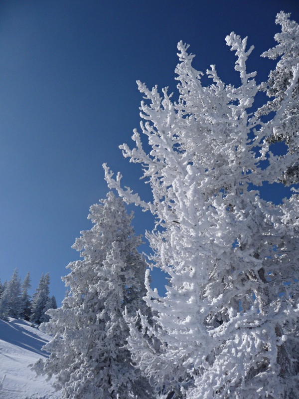 #4 Givre de Mars : Dire que dans 2 semaines c Givre de Mars : Dire que dans 2 semaines c'est le printemps...